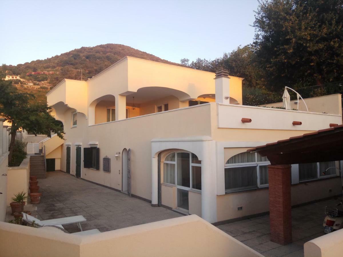 Pithecusa Appartement