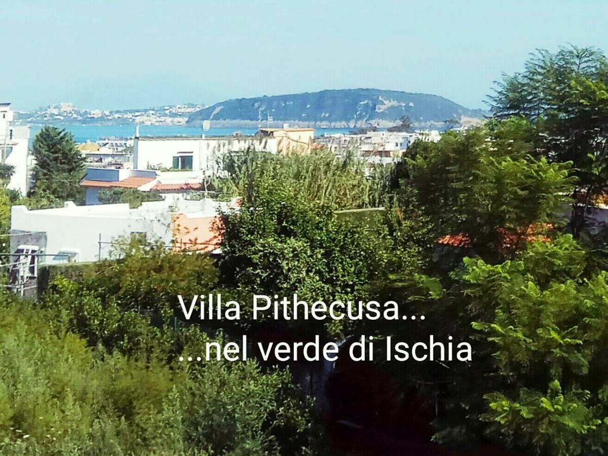 Pithecusa * Ischia